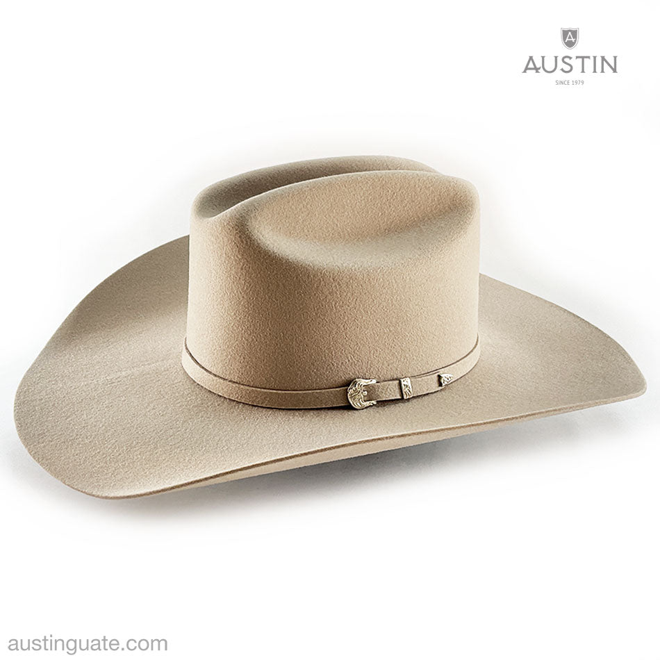 ARIAT Herren Langarmhemd Aus Festem Twill Mit Logo – Normale Passform, Stehkragen